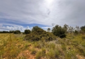 Terreno no urbanizable en venta en la España, Santa Eugènia, ref: TR391459 foto