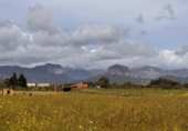 Terreno no urbanizable en venta en la España, Santa Eugènia, ref: TR391459 foto