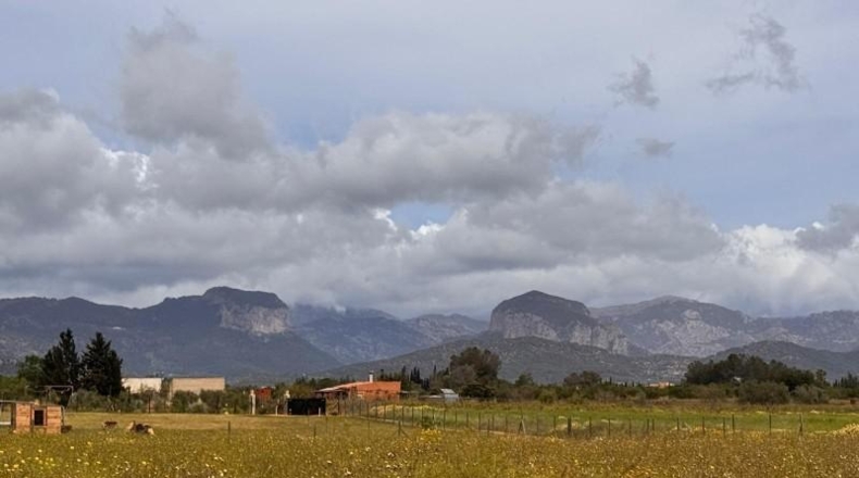 Balearic Islands - Santa Eugènia - 2116m2