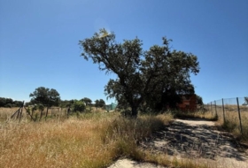 Esparragalejo 2039&nbsp;m²