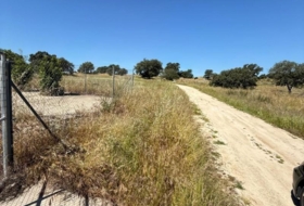 Esparragalejo 2039&nbsp;m²