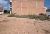 Terreny no urbanitzable en venda a la España, Alcanar, ref.: TR344267 foto