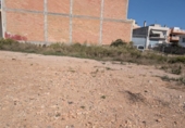 Terreny no urbanitzable en venda a la España, Alcanar, ref.: TR344267 foto
