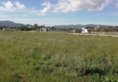 Terreno no urbanizable en venta en la España, Benicarló, ref: TR353988 foto