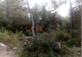 Terreno no urbanizable en venta en la España, Sant Pere de Ribes, ref: TR129302 foto