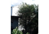 Casa de pueblo en venta en la España, Corullón, ref: TR301031 foto