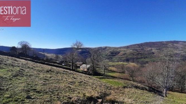 Cantabria - San Pedro del Romeral - 19000m2