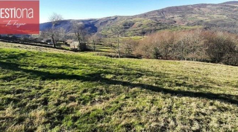 Cantabria - San Pedro del Romeral - 19000m2
