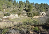 Terreno no urbanizable en venta en la España, Arens de Lledó, ref: TR317270 foto