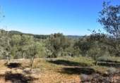 Terreno no urbanizable en venta en la España, Arens de Lledó, ref: TR317270 foto