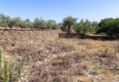 Suelo urbano en venta en la España, Ahigal, ref: TR123409 foto