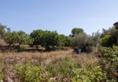 Suelo urbano en venta en la España, Ahigal, ref: TR123409 foto