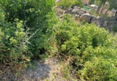 Suelo urbano en venta en la España, Castellet, ref: TR336919 foto