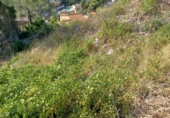 Suelo urbano en venta en la España, Castellet, ref: TR336919 foto