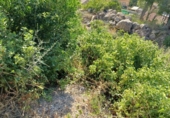Suelo urbano en venta en la España, Castellet, ref: TR336919 foto