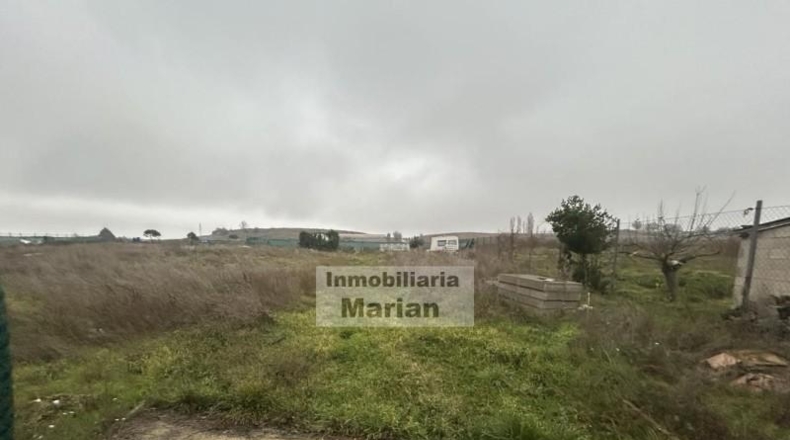 Burgos - Aranda de Duero - 2700m2