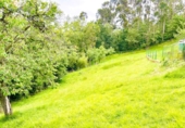 Terreno no urbanizable en venta en la España, Pola de Siero, ref: TR174884 foto