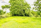Terreno no urbanizable en venta en la España, Pola de Siero, ref: TR174884 foto