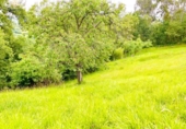 Terreno no urbanizable en venta en la España, Pola de Siero, ref: TR174884 foto