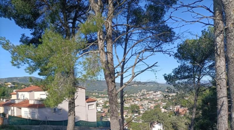 Barcelona - Canyelles - 730m2
