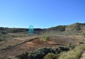 Terreny no urbanitzable en venda a la España, Mazarrón, ref.: TR125986 foto