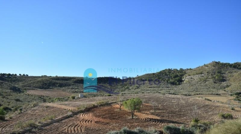 Múrcia - Mazarrón - 25000m2