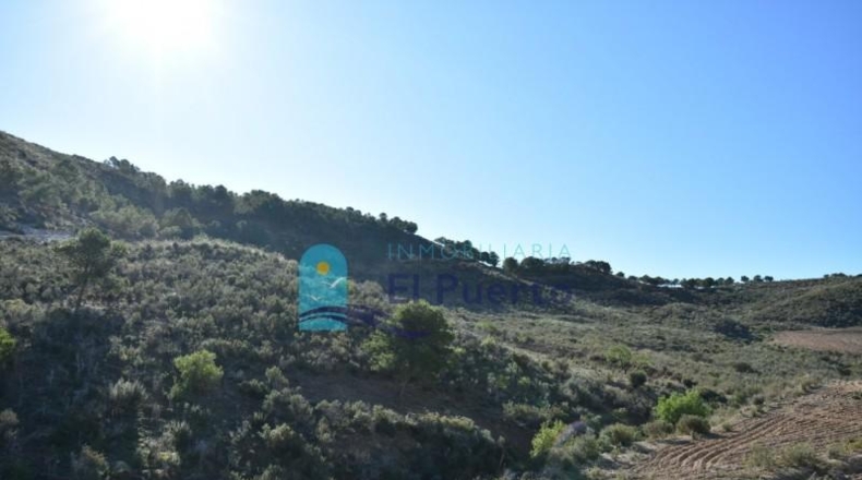 Múrcia - Mazarrón - 25000m2