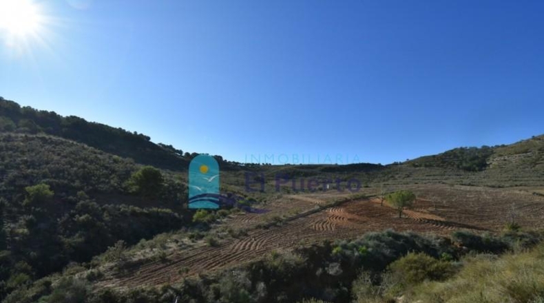 Múrcia - Mazarrón - 25000m2