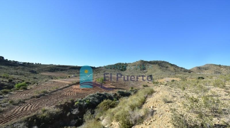 Múrcia - Mazarrón - 25000m2