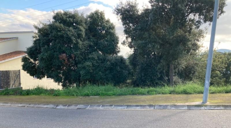 Barcelona - Tordera - 801m2