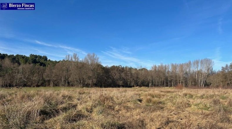 León - Camponaraya - 10000m2