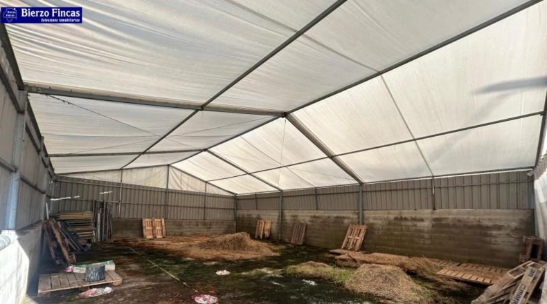 León - Camponaraya - 10000m2