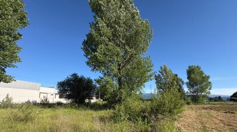 Leon - Camponaraya - 1600m2