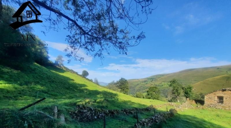 Cantabria - Selaya - 18090m2