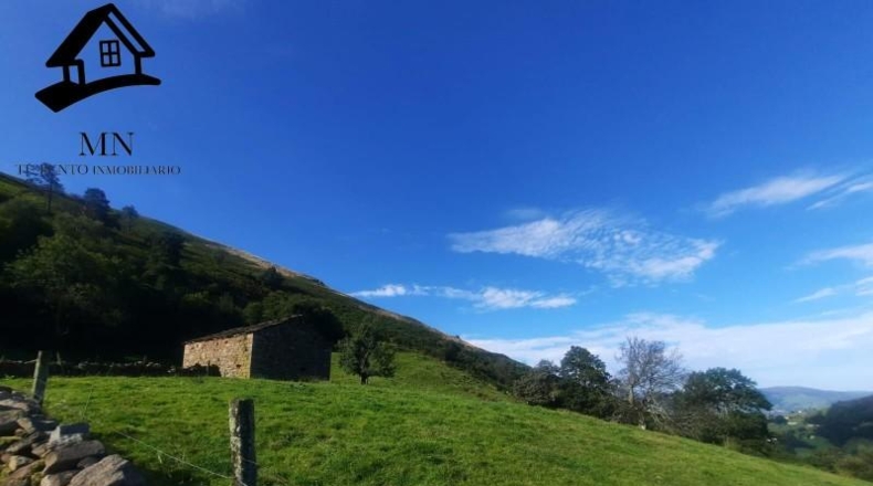 Cantabria - Selaya - 18090m2
