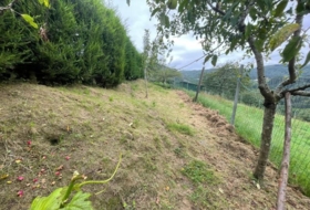 Oviedo 2269&nbsp;m² 