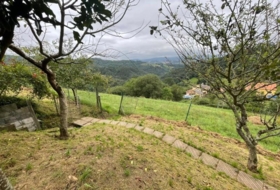 Oviedo 2269&nbsp;m² 