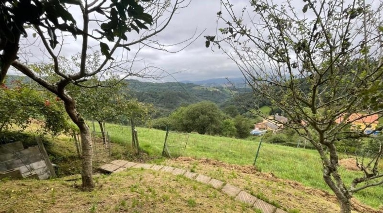Asturias - Oviedo - 2269m2