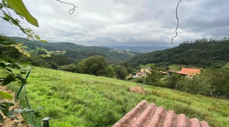 Asturias - Oviedo - 2269m2