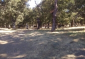 Terreno no urbanizable en venta en la España, El Cerro, ref: TR126207 foto