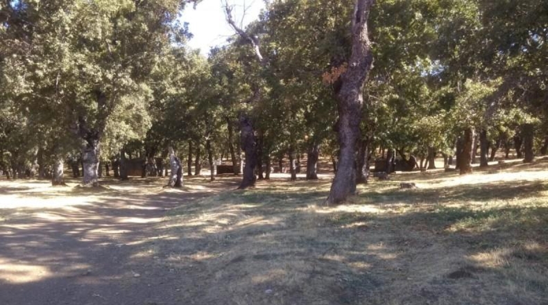 Salamanca - El Cerro - 1397m2