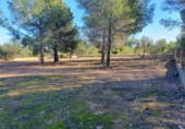 Parcela urbanizable en venta en la España, La Pobla de Vallbona, ref: TR394766 foto
