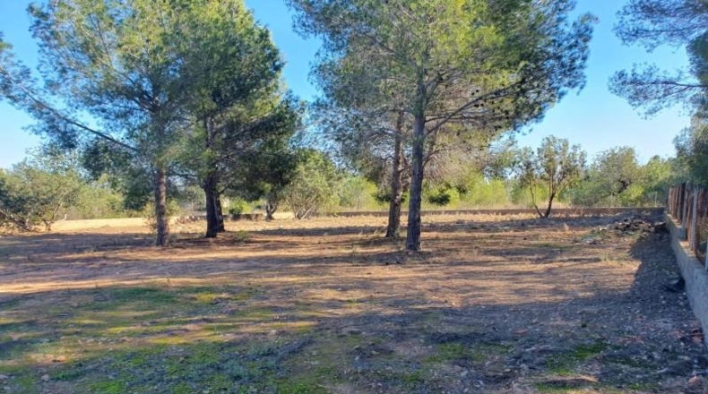 Valencia - Puebla de Vallbona - 887m2