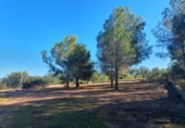 Parcela urbanizable en venta en la España, La Pobla de Vallbona, ref: TR394766 foto