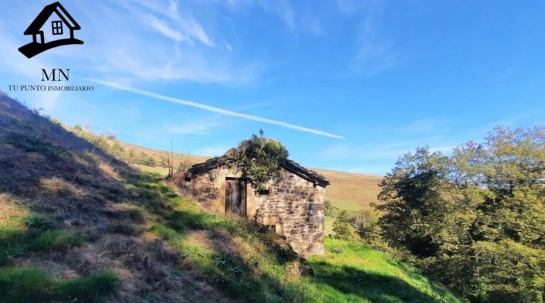Cantabria - Vega de Pas - 8413m2