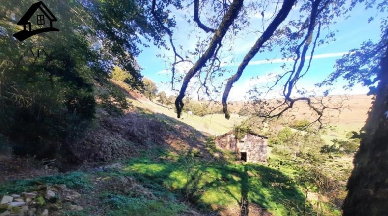 Cantabria - Vega de Pas - 8413m2