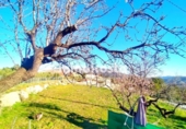 Terreno no urbanizable en venta en la España, Benimantell, ref: TR373629 foto
