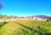 Terreno no urbanizable en venta en la España, Benimantell, ref: TR373629 foto