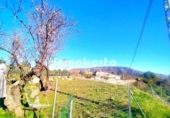 Terreno no urbanizable en venta en la España, Benimantell, ref: TR373629 foto