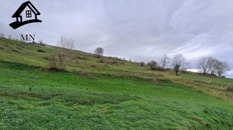 Cantabria - Villafufre - 2895m2